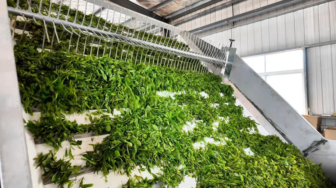 连续加工现场实拍